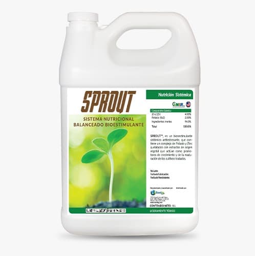 Sprout